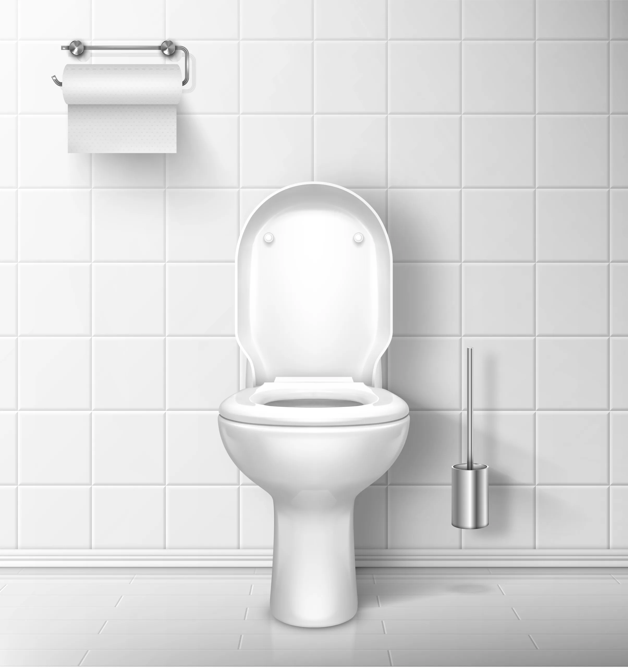 Cuve de Toilette dans salle de bain avec brosse et rouleau de papier toilette